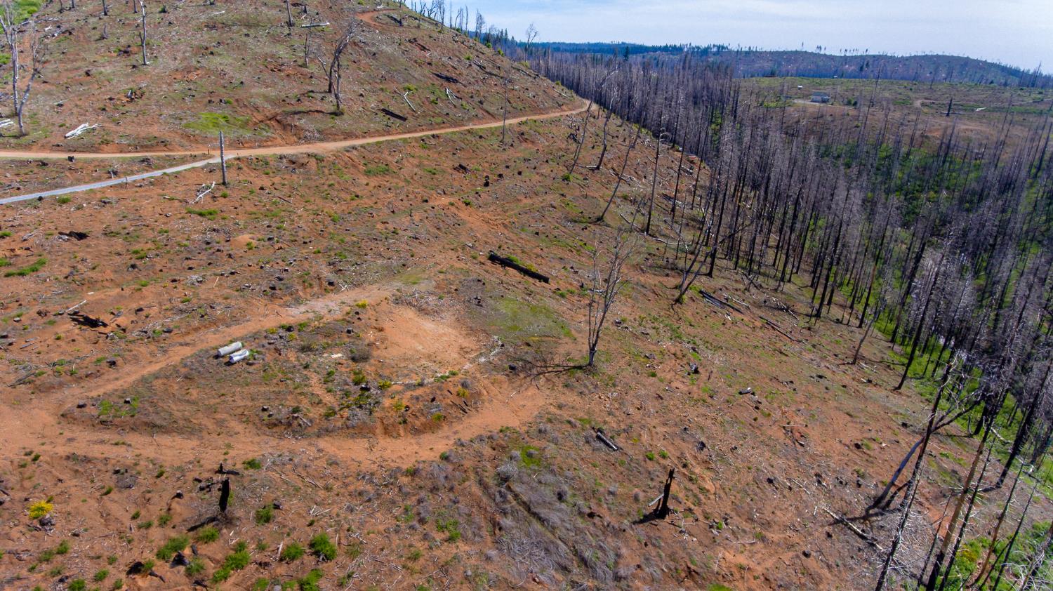 8580 Big Canyon Loop Road Grizzly Flats, CA 95636 - Photo 13 of 43