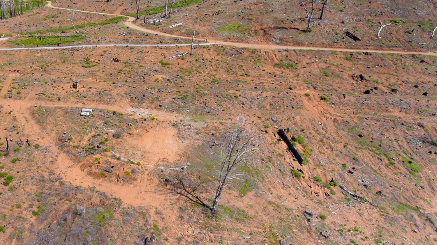 8580 Big Canyon Loop Road Grizzly Flats, CA 95636 - Photo 14 of 43