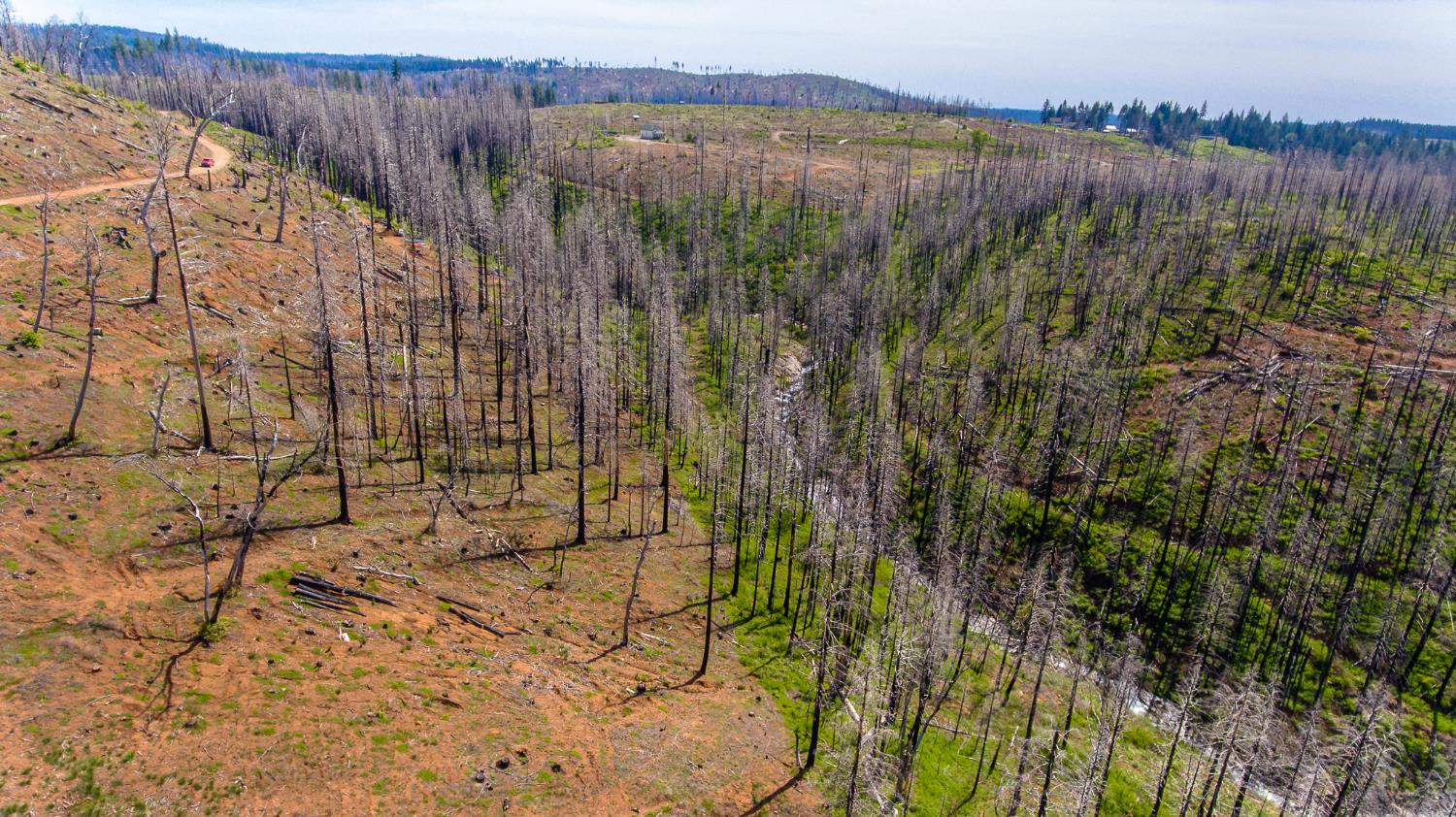 8580 Big Canyon Loop Road Grizzly Flats, CA 95636 - Photo 15 of 43