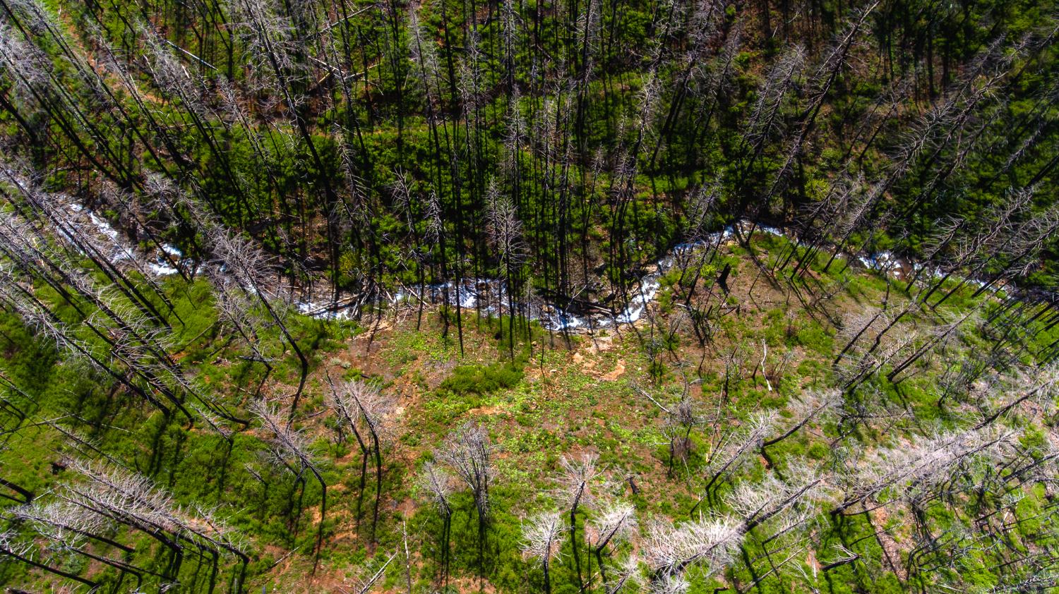 8580 Big Canyon Loop Road Grizzly Flats, CA 95636 - Photo 16 of 43