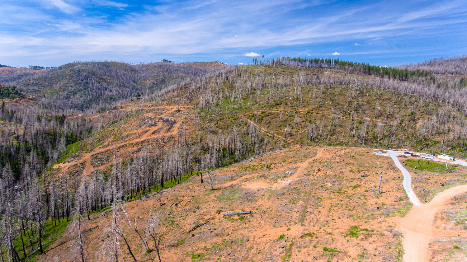 8580 Big Canyon Loop Road Grizzly Flats, CA 95636 - Photo 19 of 43