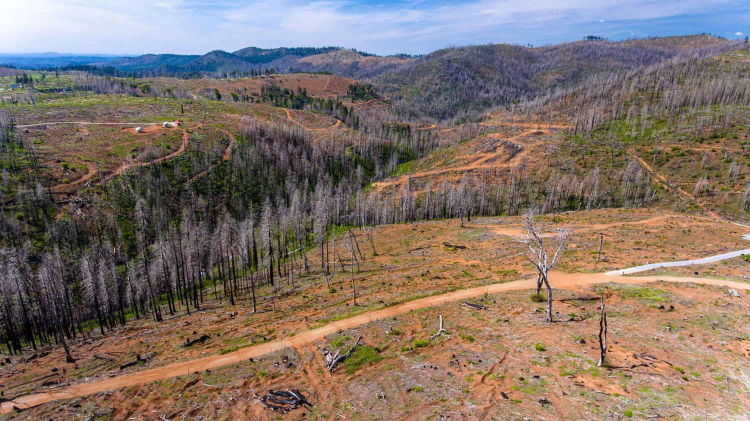 8580 Big Canyon Loop Road Grizzly Flats, CA 95636 - Photo 20 of 43