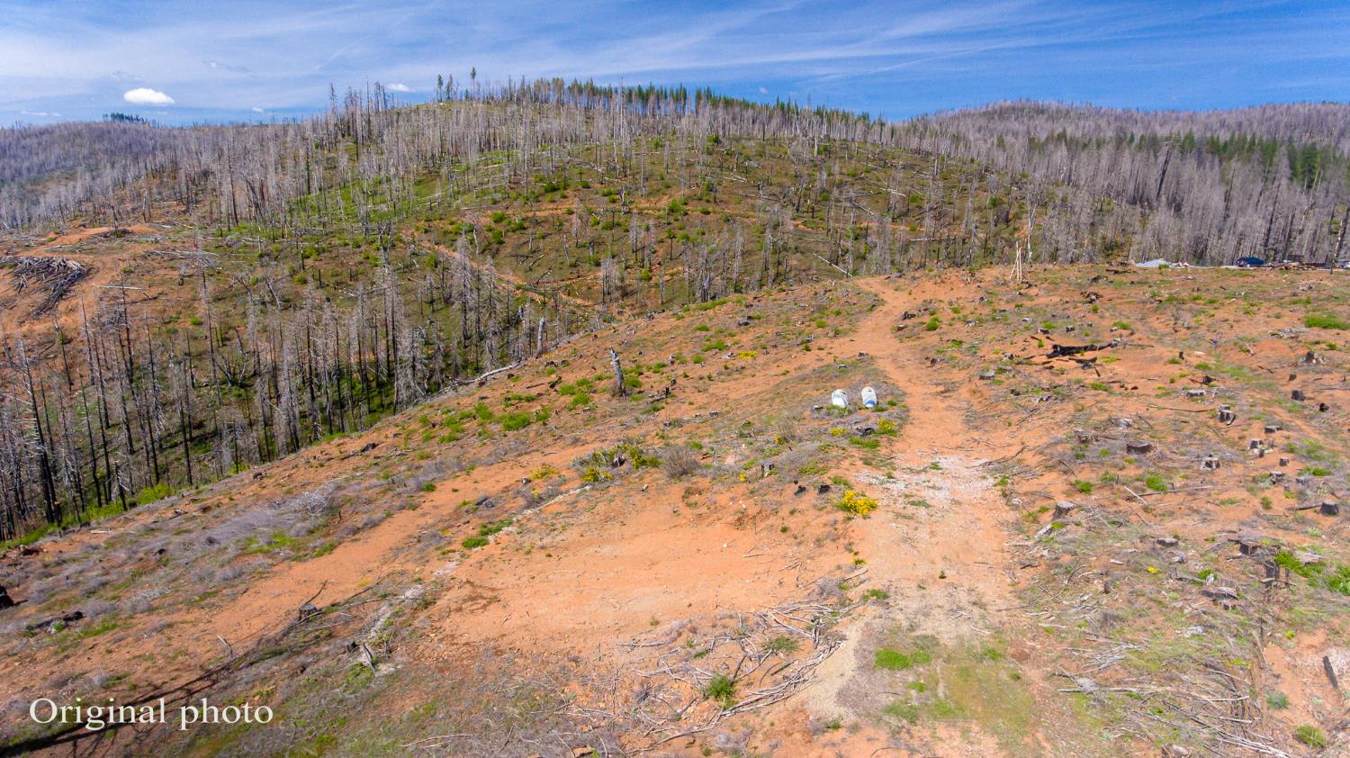 8580 Big Canyon Loop Road Grizzly Flats, CA 95636 - Photo 2 of 43