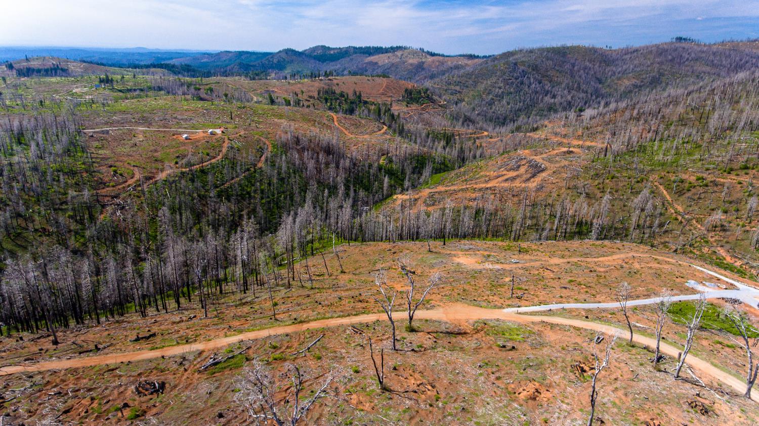 8580 Big Canyon Loop Road Grizzly Flats, CA 95636 - Photo 21 of 43
