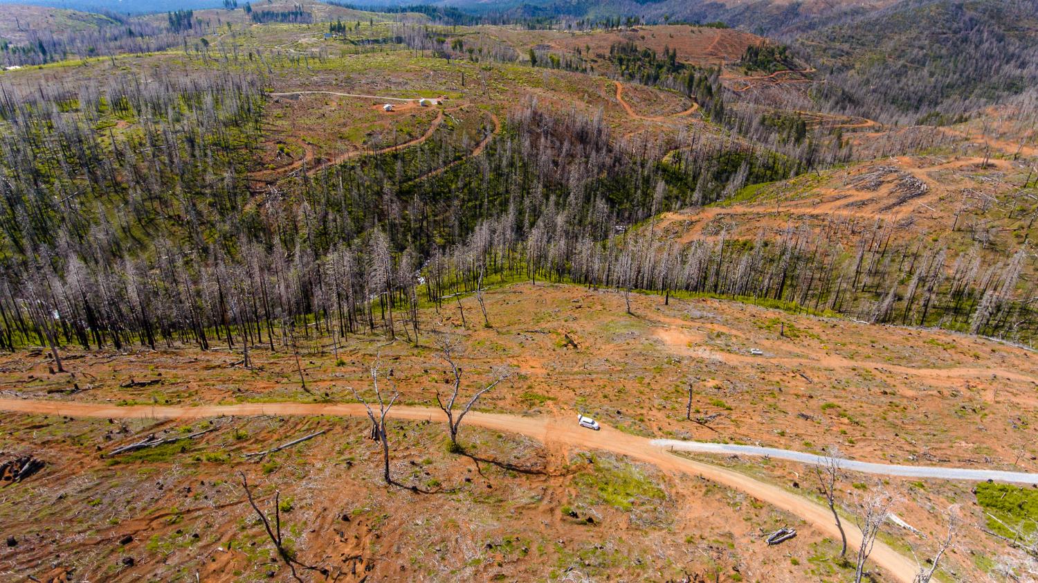 8580 Big Canyon Loop Road Grizzly Flats, CA 95636 - Photo 22 of 43