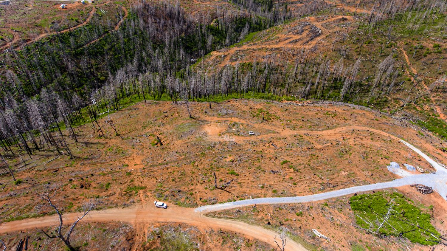 8580 Big Canyon Loop Road Grizzly Flats, CA 95636 - Photo 23 of 43