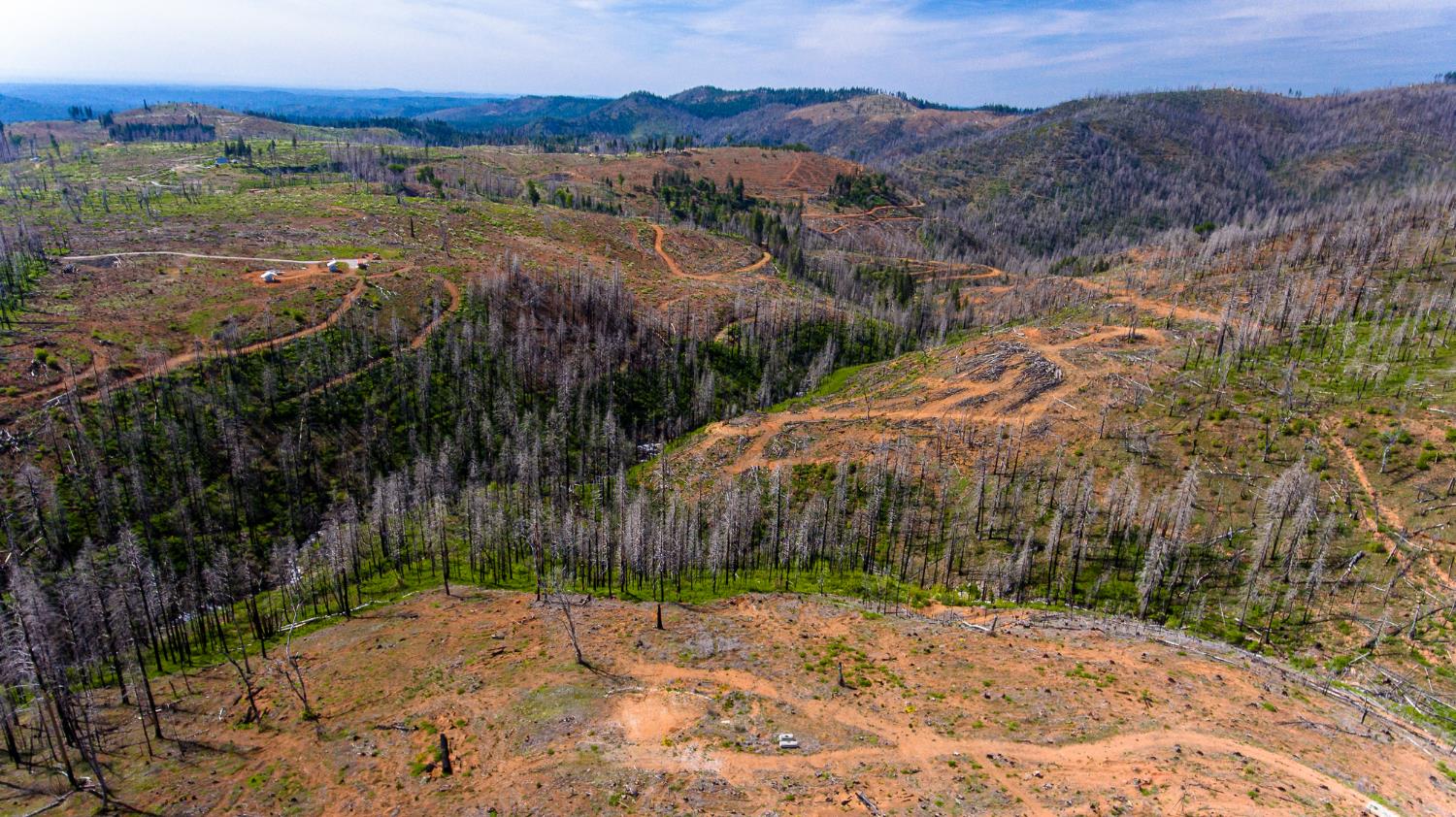8580 Big Canyon Loop Road Grizzly Flats, CA 95636 - Photo 24 of 43