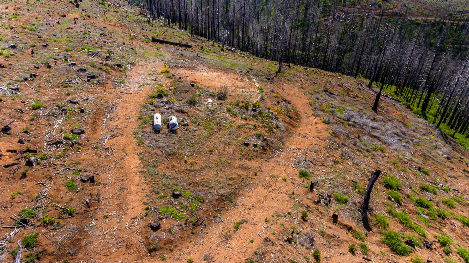 8580 Big Canyon Loop Road Grizzly Flats, CA 95636 - Photo 25 of 43