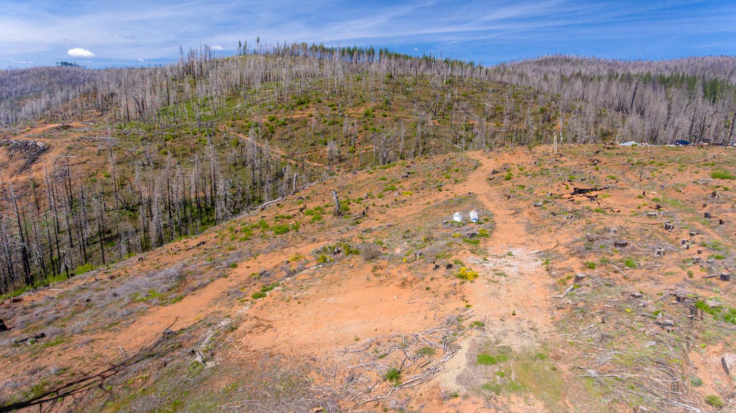 8580 Big Canyon Loop Road Grizzly Flats, CA 95636 - Photo 27 of 43