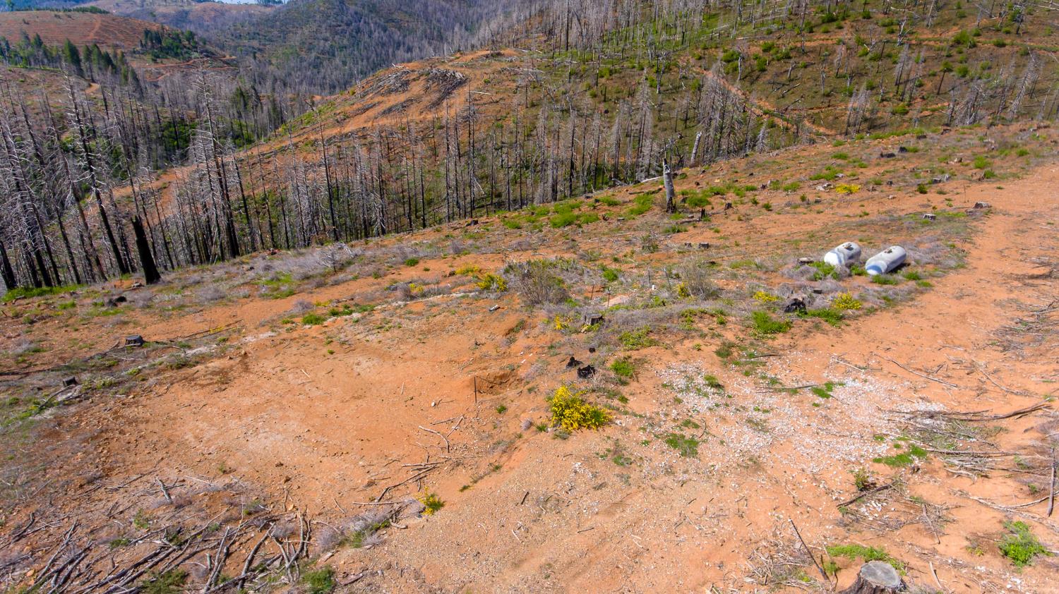 8580 Big Canyon Loop Road Grizzly Flats, CA 95636 - Photo 28 of 43