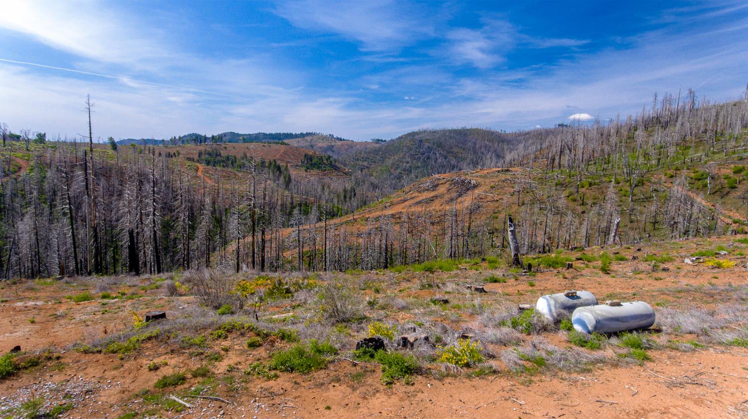 8580 Big Canyon Loop Road Grizzly Flats, CA 95636 - Photo 29 of 43