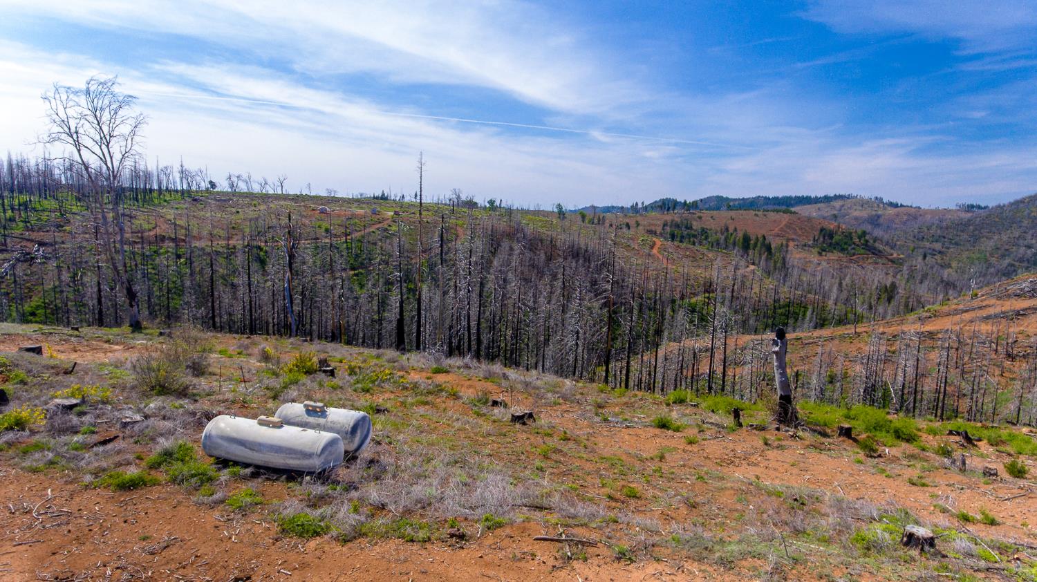 8580 Big Canyon Loop Road Grizzly Flats, CA 95636 - Photo 30 of 43