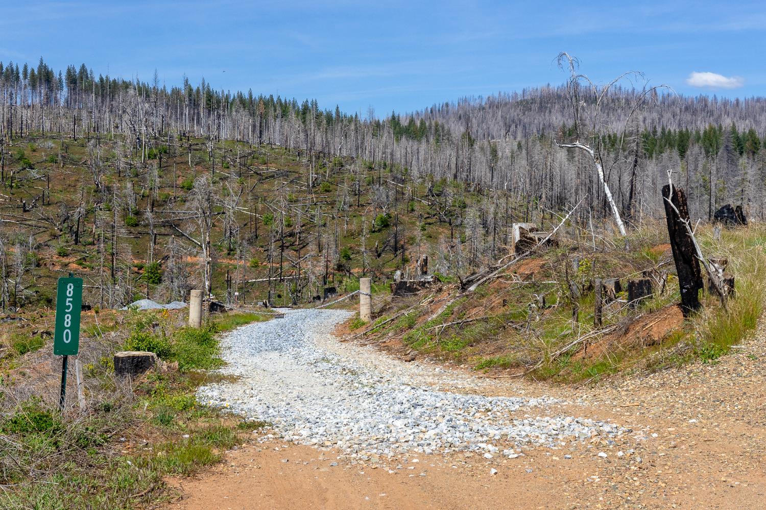 8580 Big Canyon Loop Road Grizzly Flats, CA 95636 - Photo 3 of 43