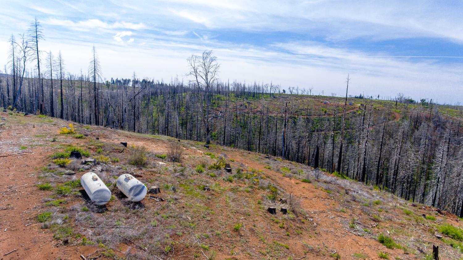 8580 Big Canyon Loop Road Grizzly Flats, CA 95636 - Photo 31 of 43