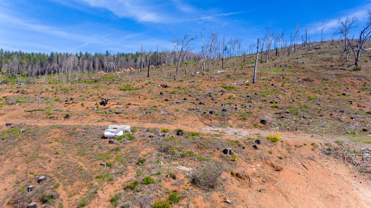 8580 Big Canyon Loop Road Grizzly Flats, CA 95636 - Photo 32 of 43