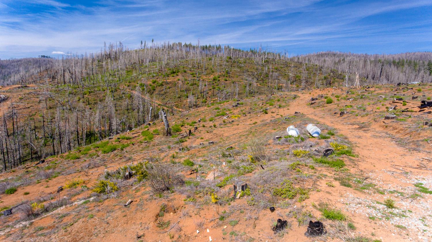 8580 Big Canyon Loop Road Grizzly Flats, CA 95636 - Photo 33 of 43