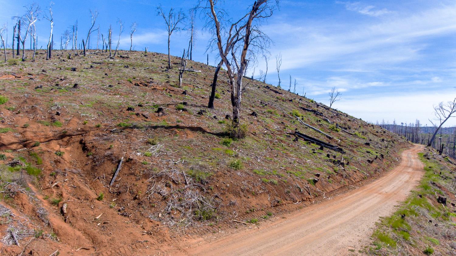 8580 Big Canyon Loop Road Grizzly Flats, CA 95636 - Photo 34 of 43