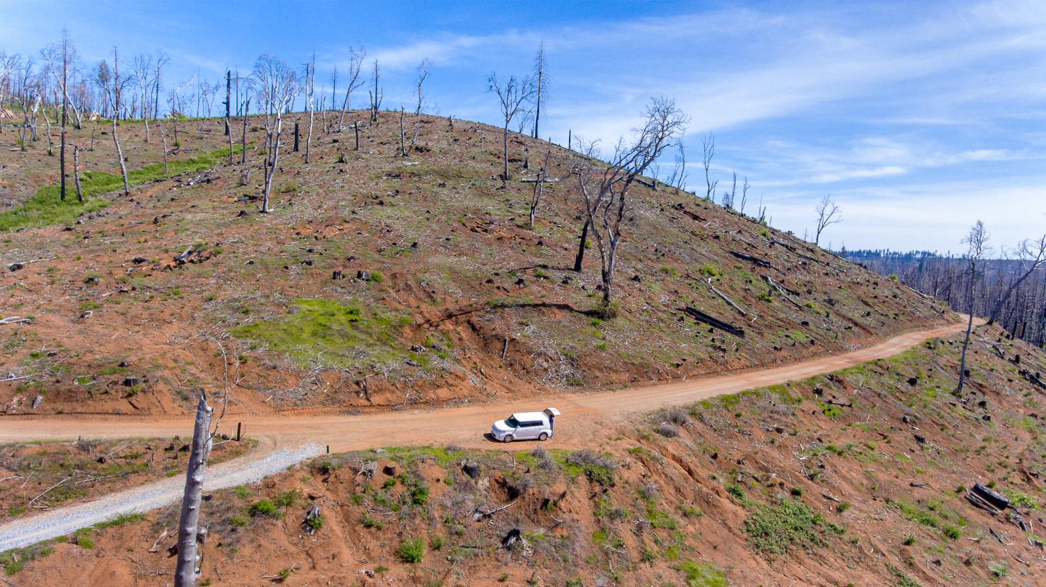8580 Big Canyon Loop Road Grizzly Flats, CA 95636 - Photo 35 of 43
