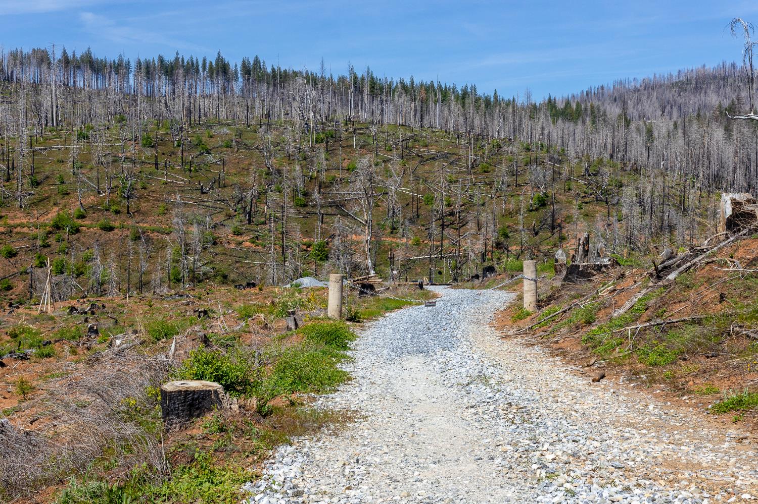 8580 Big Canyon Loop Road Grizzly Flats, CA 95636 - Photo 36 of 43