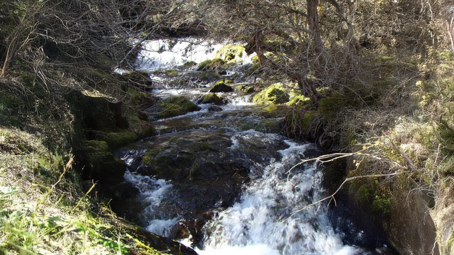 8580 Big Canyon Loop Road Grizzly Flats, CA 95636 - Photo 37 of 43