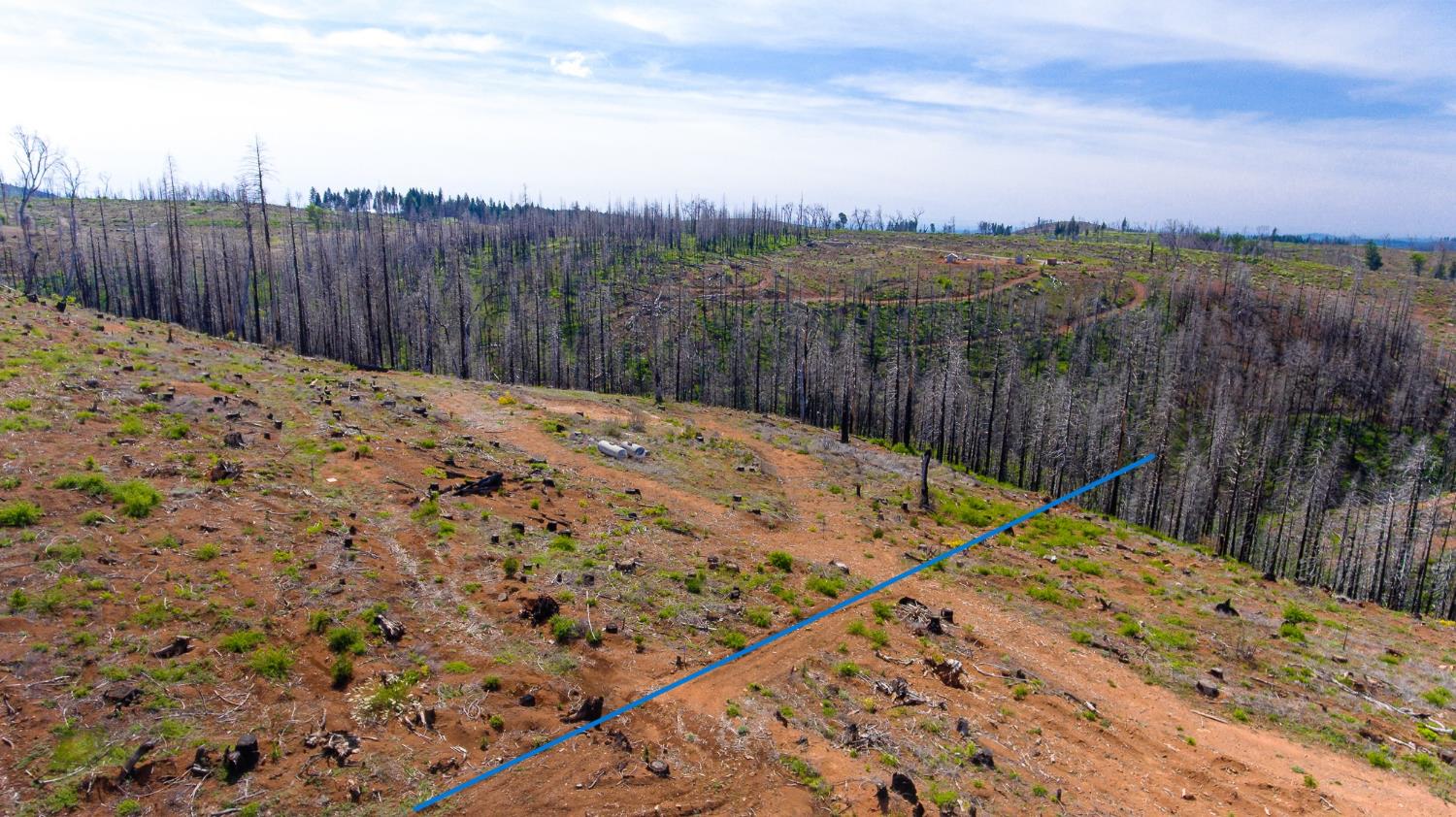 8580 Big Canyon Loop Road Grizzly Flats, CA 95636 - Photo 39 of 43