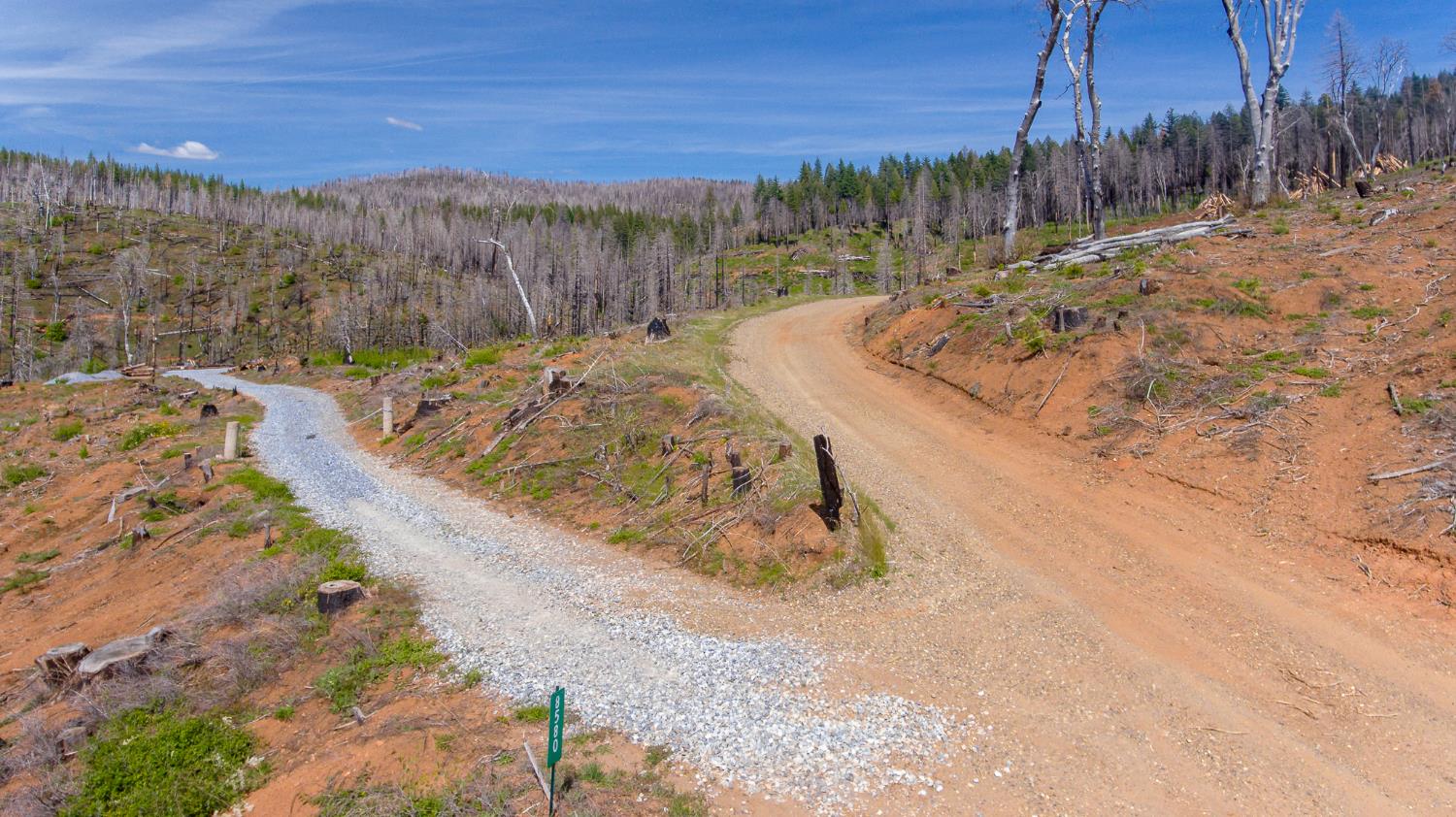 8580 Big Canyon Loop Road Grizzly Flats, CA 95636 - Photo 4 of 43