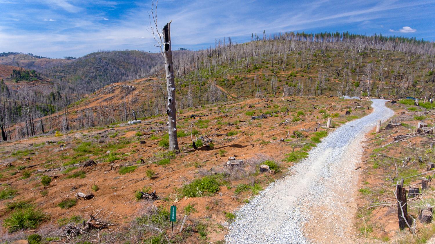 8580 Big Canyon Loop Road Grizzly Flats, CA 95636 - Photo 5 of 43