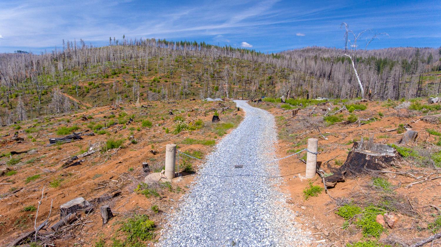 8580 Big Canyon Loop Road Grizzly Flats, CA 95636 - Photo 6 of 43