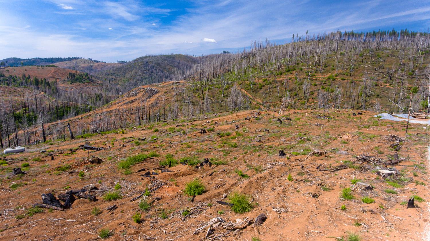 8580 Big Canyon Loop Road Grizzly Flats, CA 95636 - Photo 7 of 43