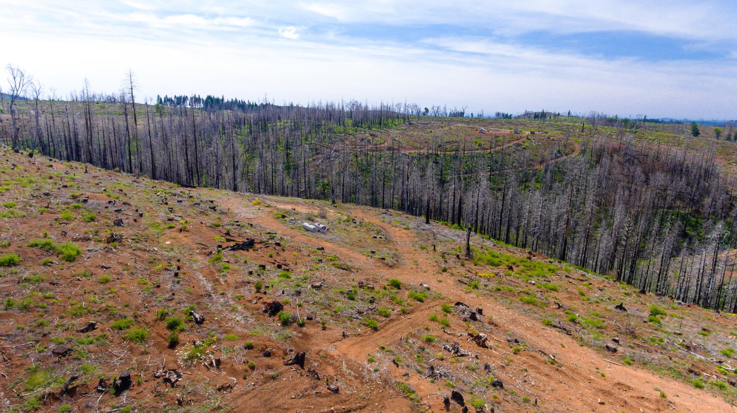 8580 Big Canyon Loop Road Grizzly Flats, CA 95636 - Photo 8 of 43
