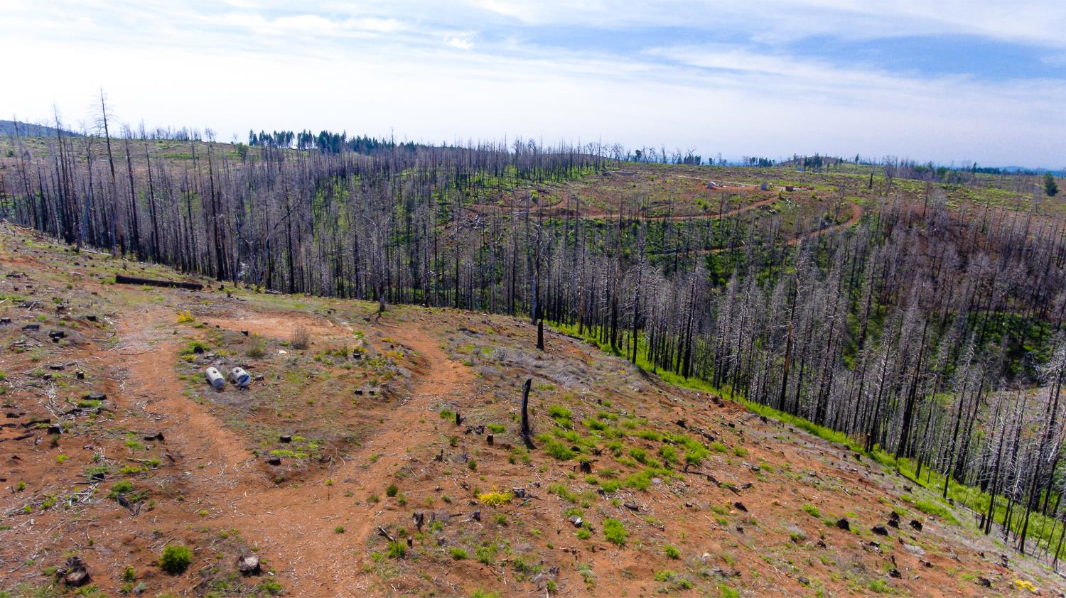 8580 Big Canyon Loop Road Grizzly Flats, CA 95636 - Photo 9 of 43
