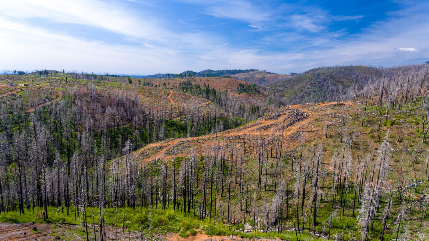 8580 Big Canyon Loop Road Grizzly Flats, CA 95636 - Photo 10 of 43