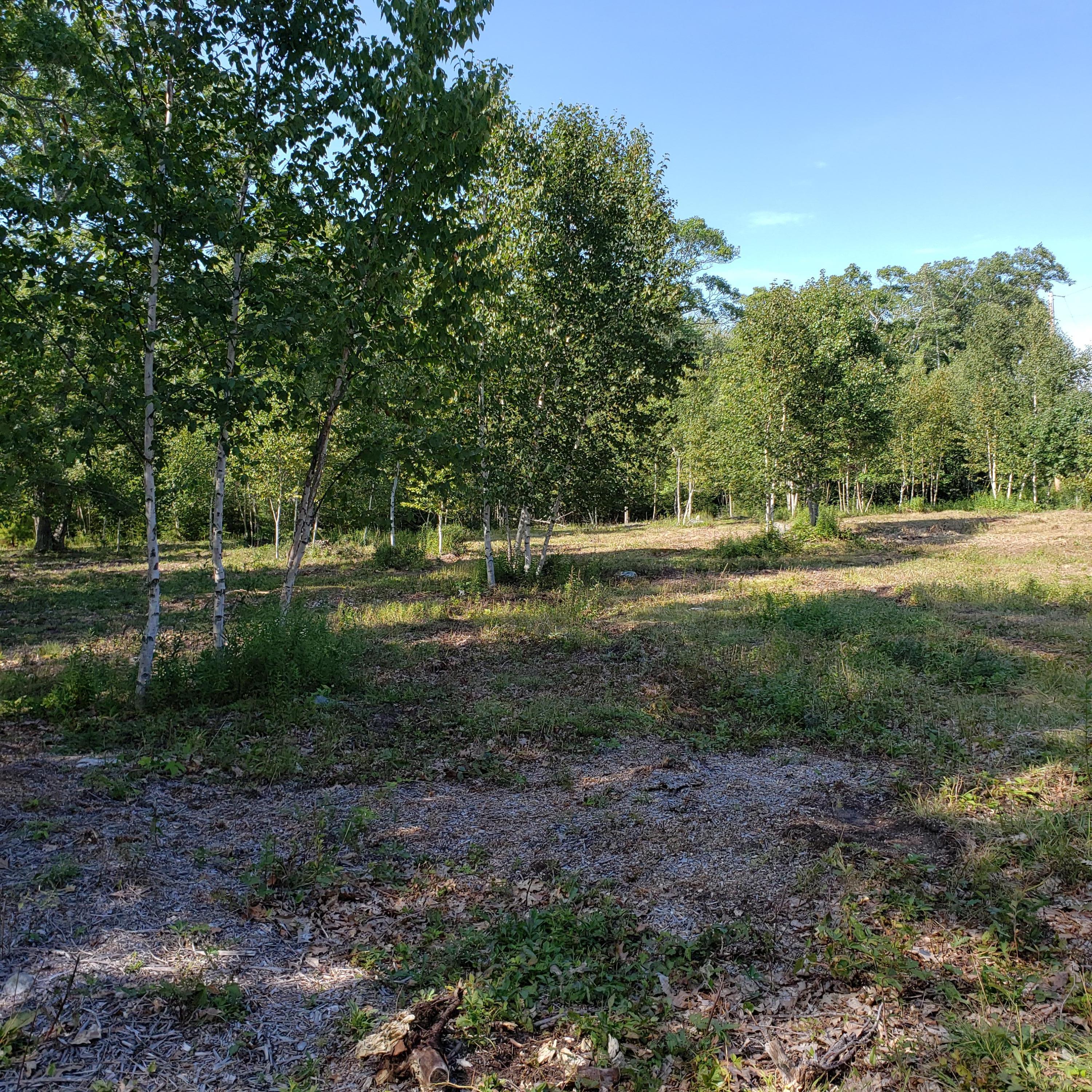 53 Cushing Farm Road New Harbor, ME 04554 - Photo 8 of 17 20190826_152354