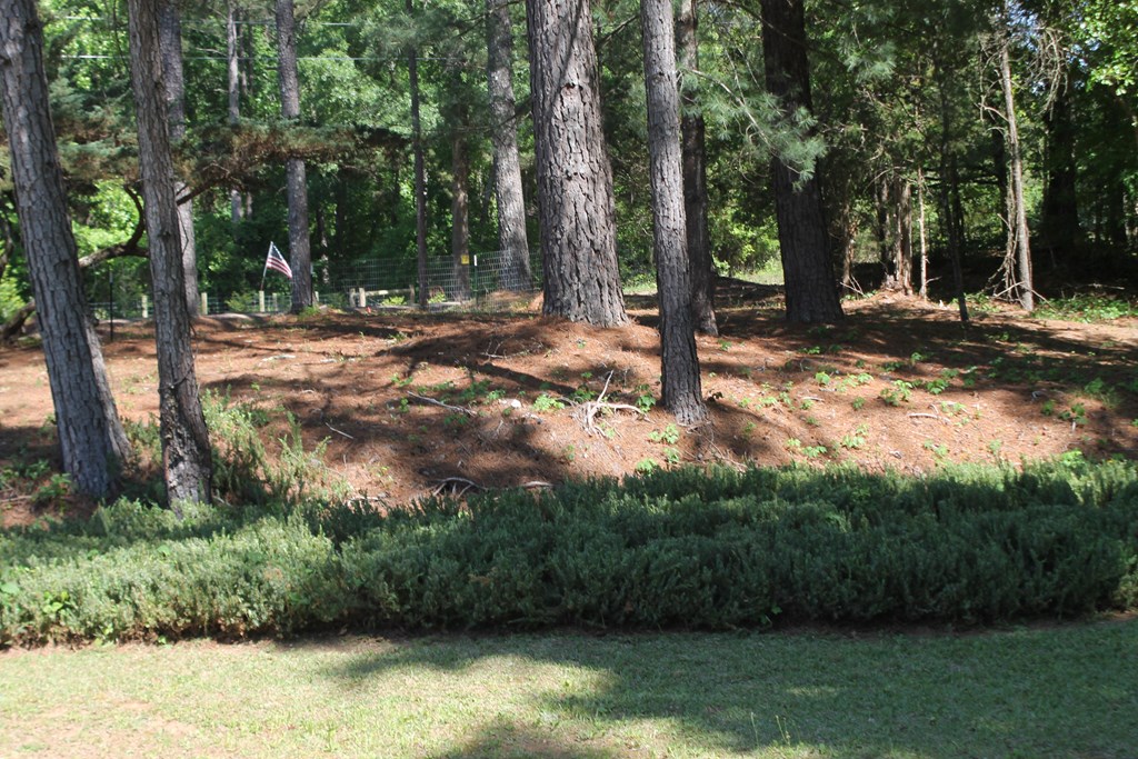 7375 Riverfork Road Waterloo, SC 29384 - Photo 42 of 50