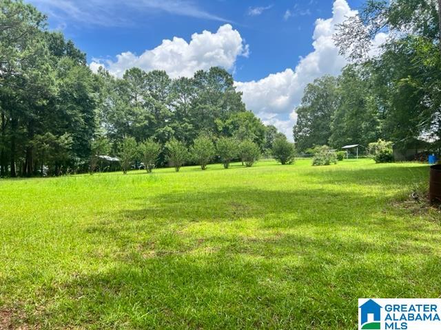 123 Hendricks Street Talladega, AL 35160 - Photo 94 of 96