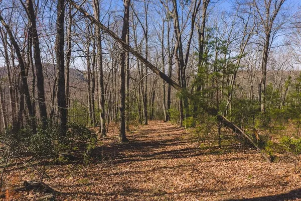 a view of backyard with green space
