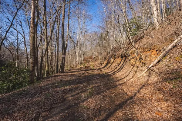 a view of wooden fence