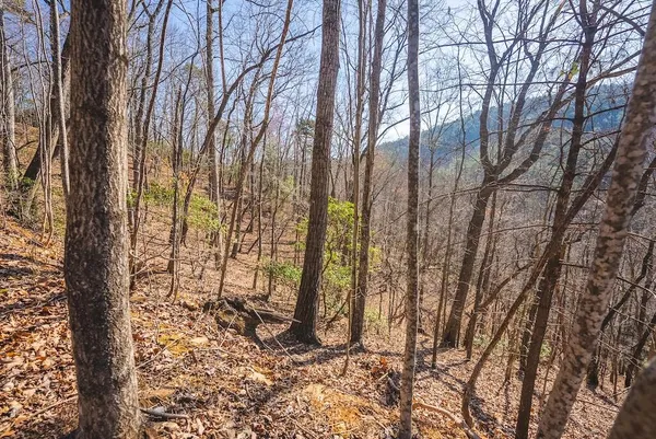 a view of a field with trees in background