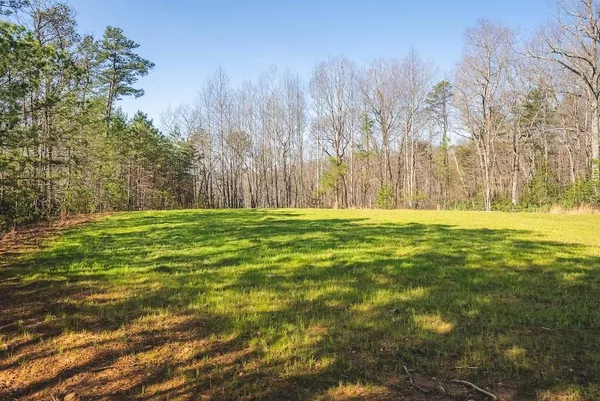 a view of a yard with trees