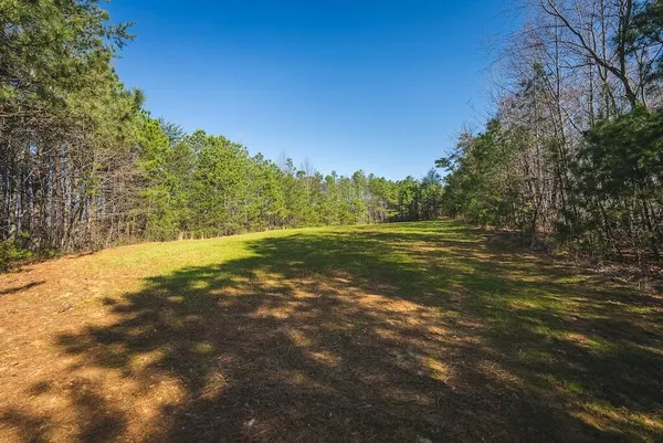 a view of a yard with trees