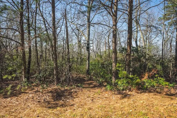 a view of a yard with a tree