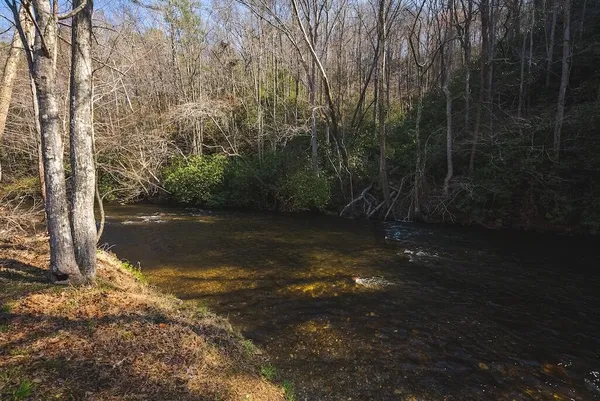$750,000 | Tbd Ararat Highway, Ararat, VA 24053