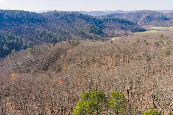a view of mountain and a dry forest