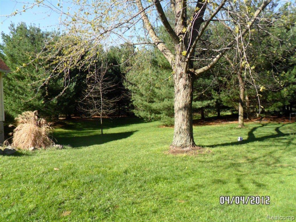7025 Colonial Way Howell, MI 48855 - Photo 9 of 13 SAM_1999.JPG