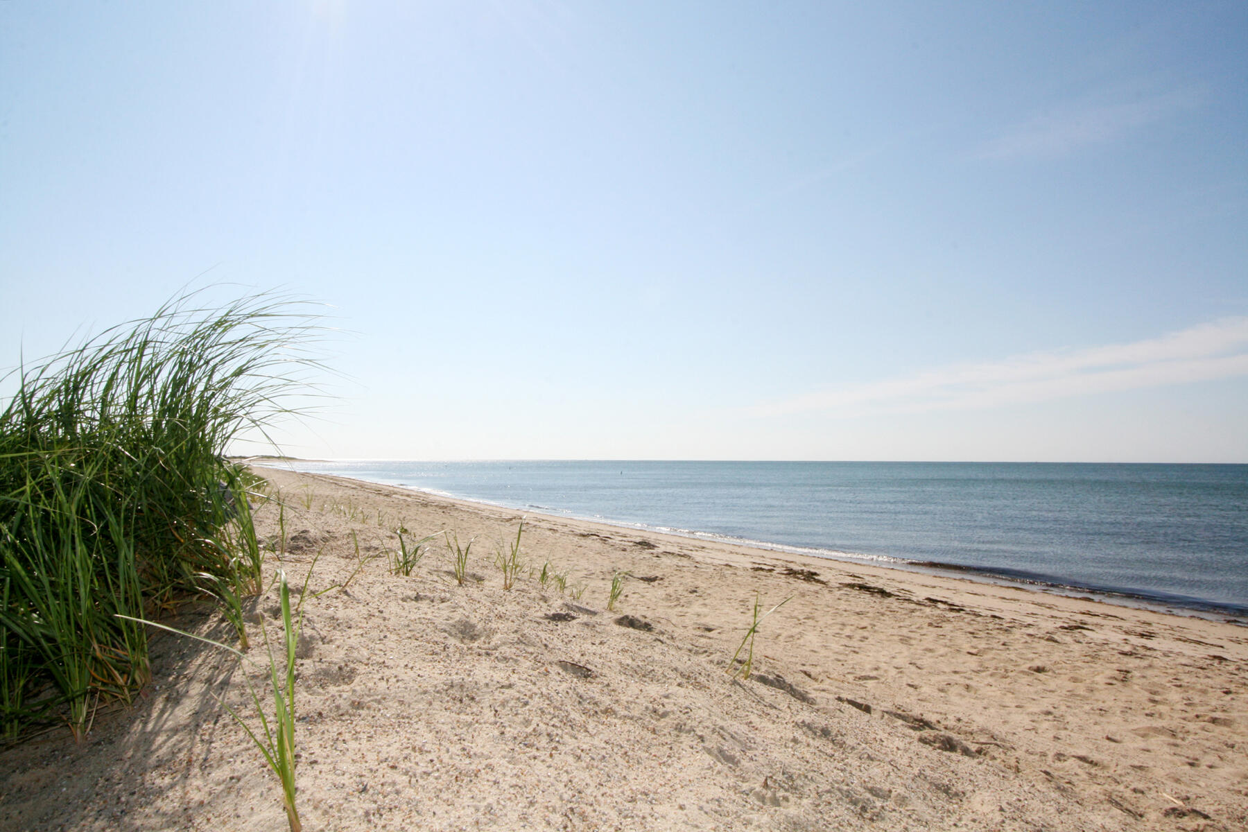 72 Walton Heath Way Mashpee, MA 02649 - Photo 52 of 58 IMG_0895