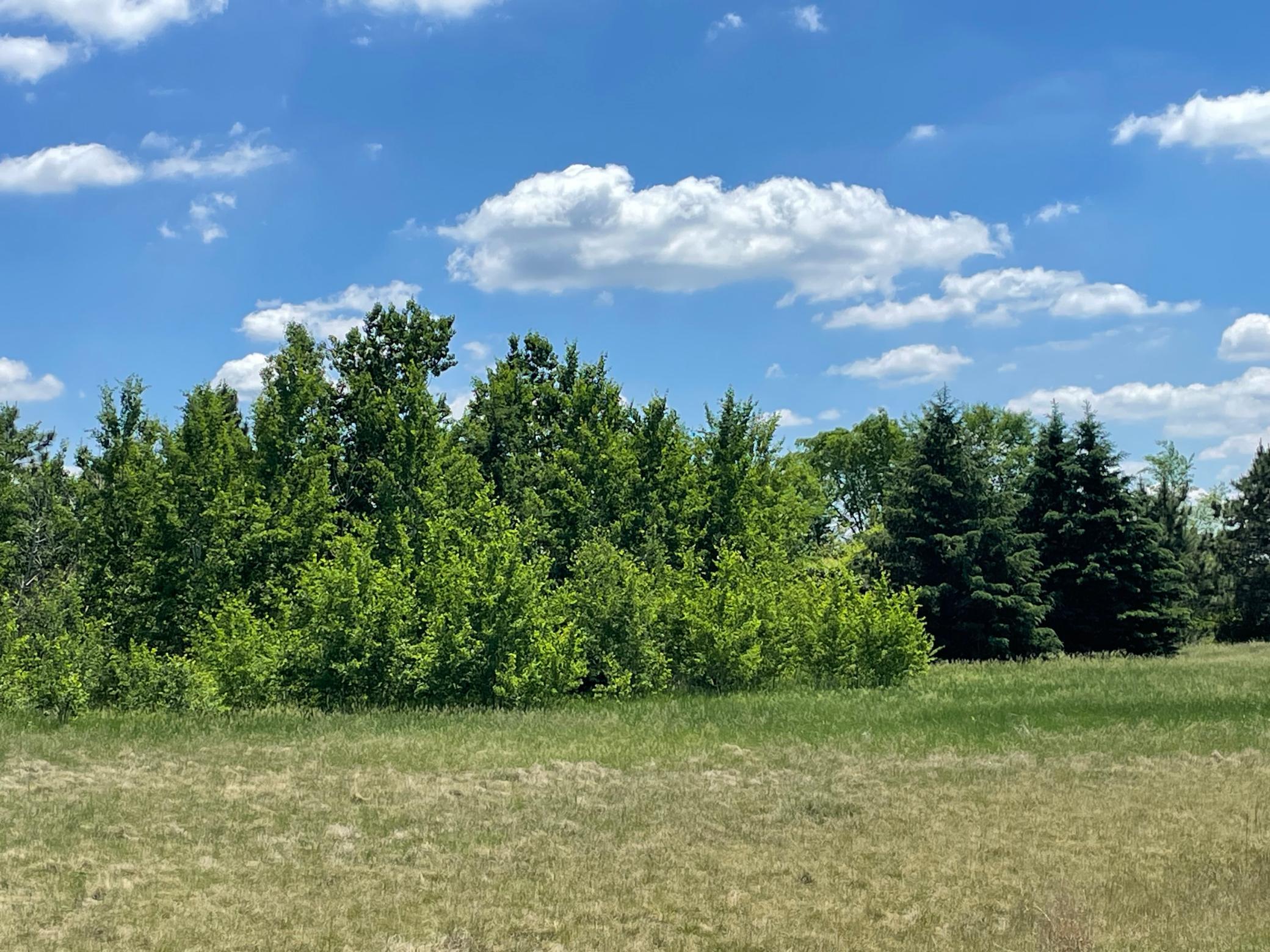 Tbd Turtle Creek Circle Cold Spring, MN 56320 - Photo 3 of 16
