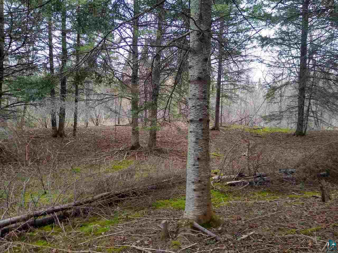 88525 Bark Point Road Herbster, WI 54844 - Photo 35 of 50 Gallery Image 35