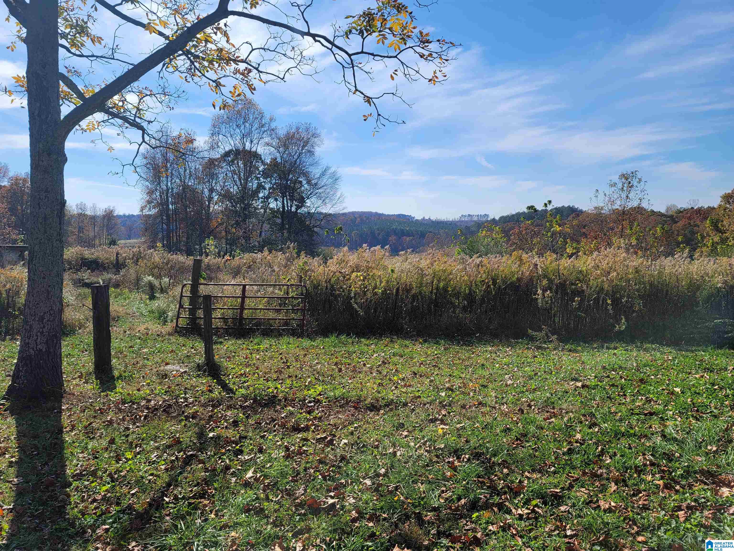 1286 County Road 667 Ranburne, AL 36273 - Photo 6 of 28