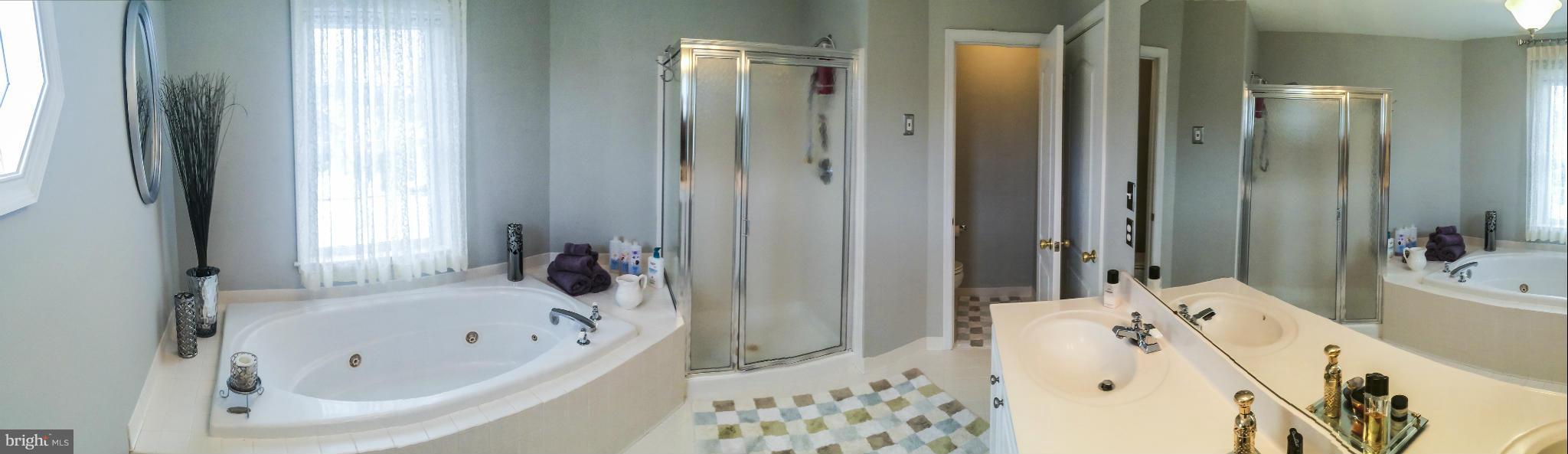 2565 Bear Den Road Frederick, MD 21701 - Photo 17 of 30 Bath (Master)