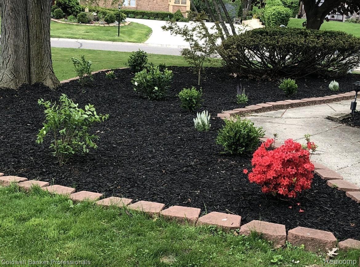 5138 Lake Bluff Road West Bloomfield, MI 48323 - Photo 7 of 54 Refreshed landscaping